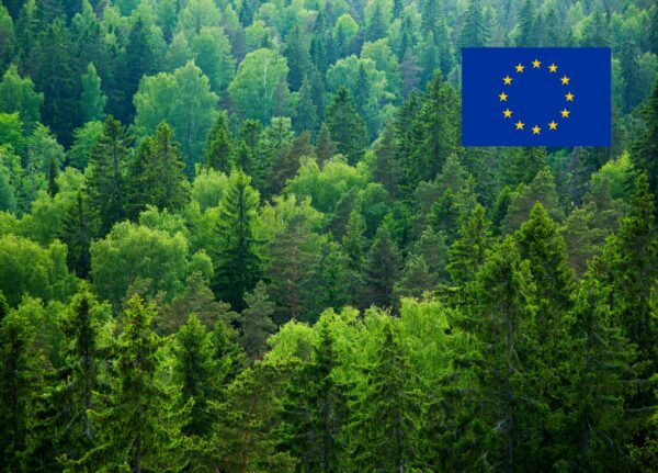 EU Deforestation Regulation Implementation